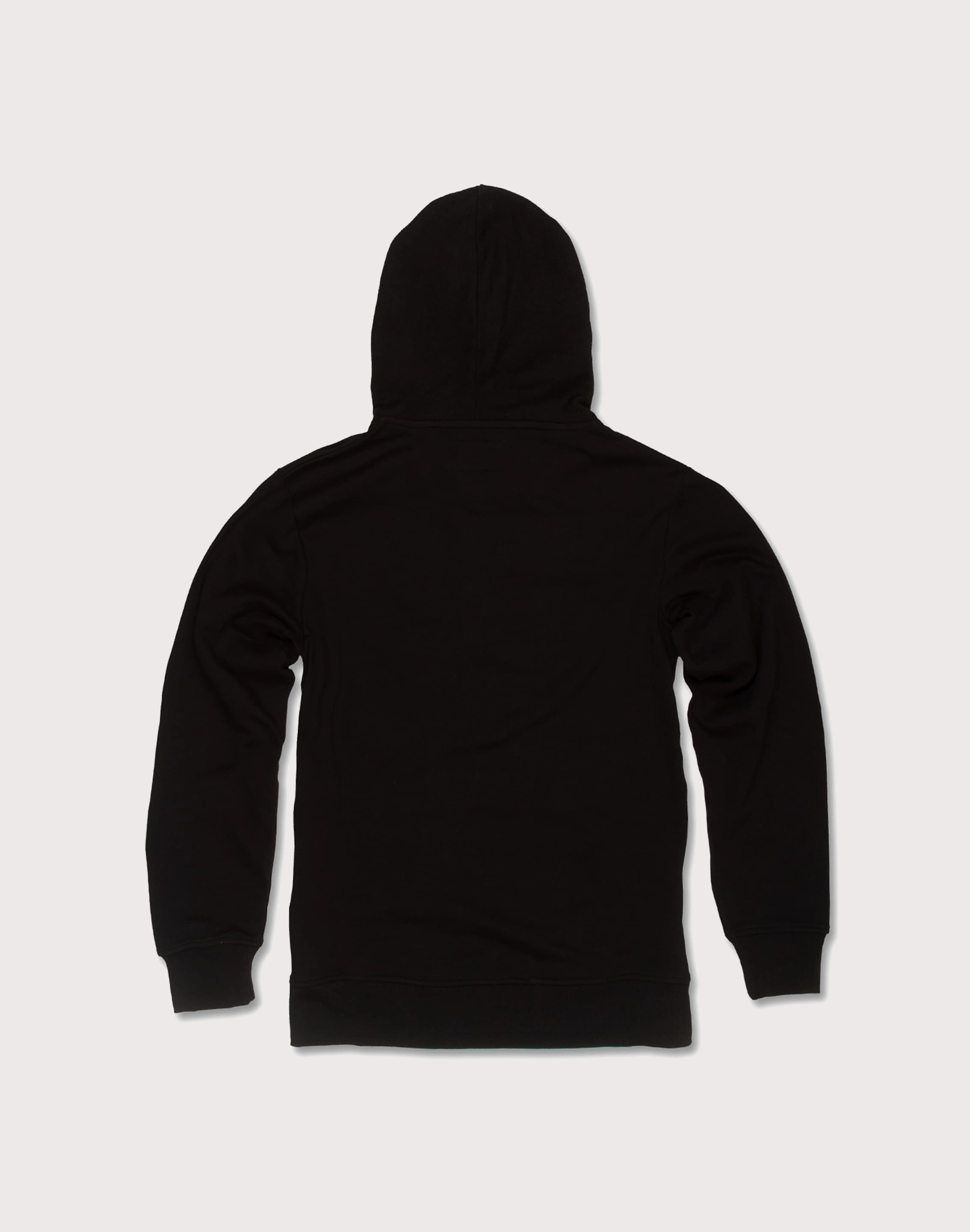 FROSTIEZ RP55 LLC Tones Hoodie beachy concert