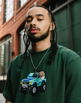 Multi directional traction Torsional Stability Plate Market 4x4 Bear Tee