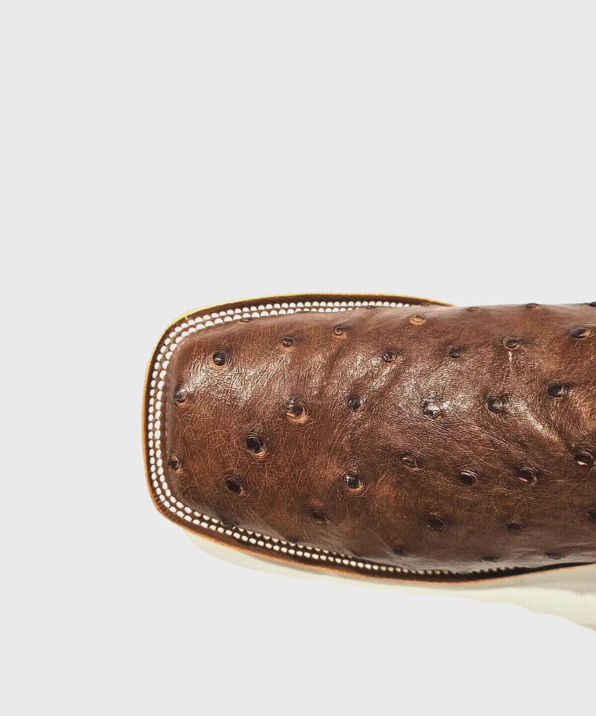 daily commuters MEN'S ANDERSON BEAN EXCLUSIVES CAFE AMERICANO OSTRICH 337255