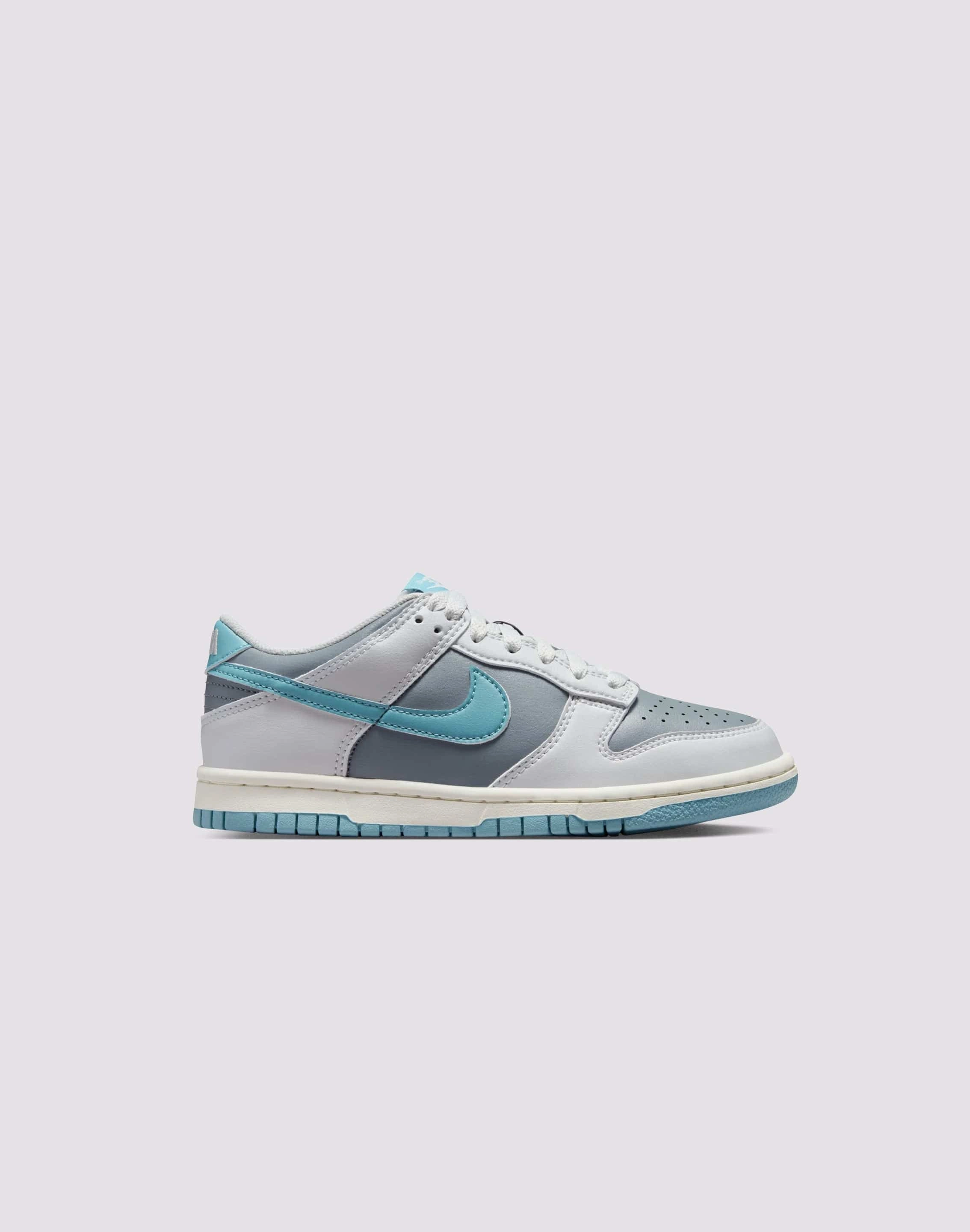 Nike Dunk Low Grade-School Torsion Plate Tech