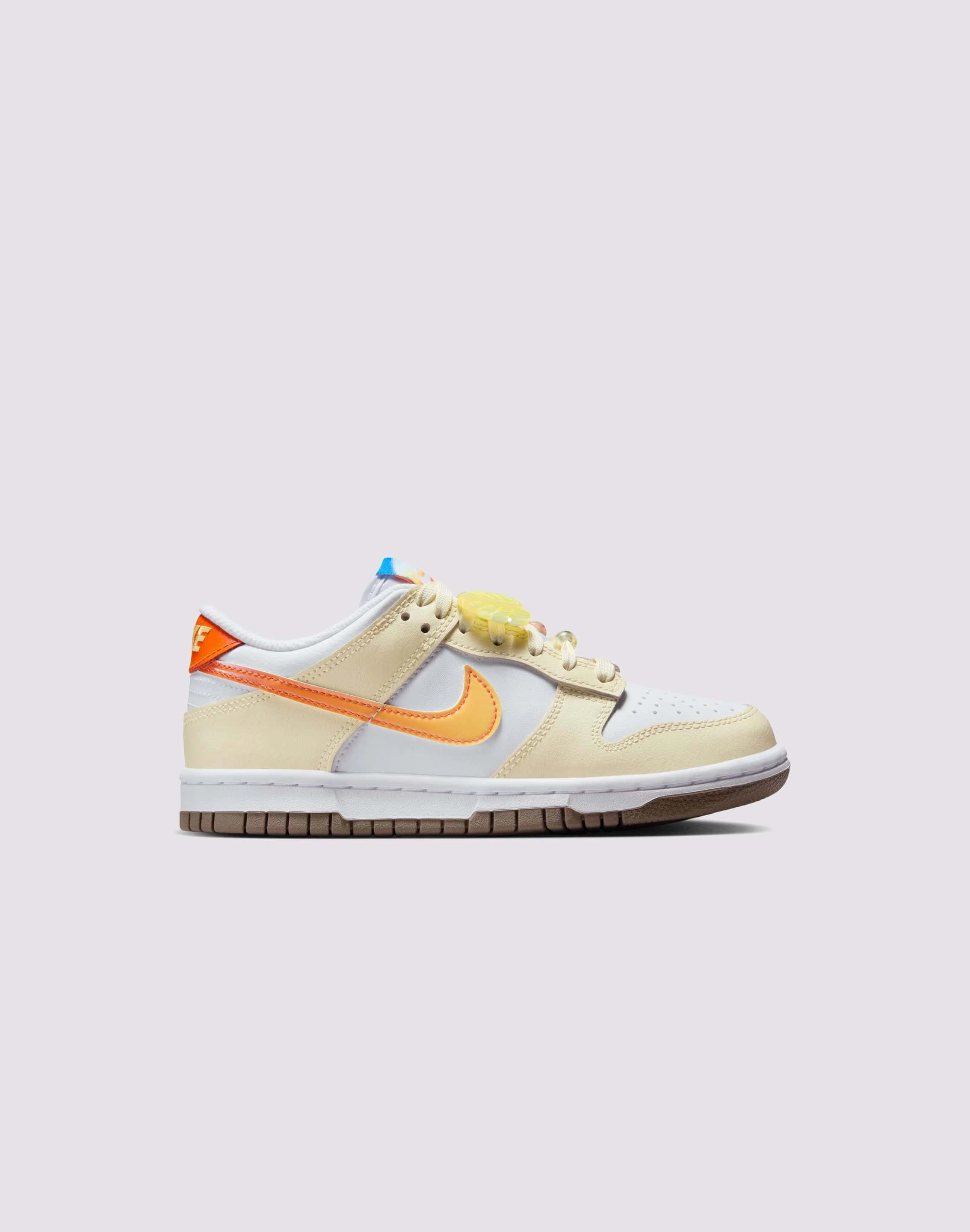 Trendy Appearance Nike Dunk Low Grade-School